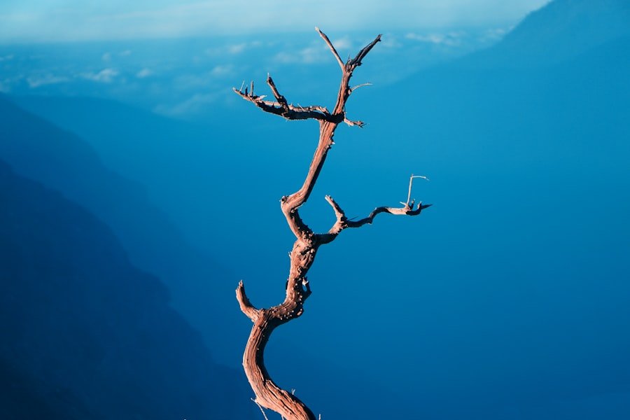 Resilient mindset