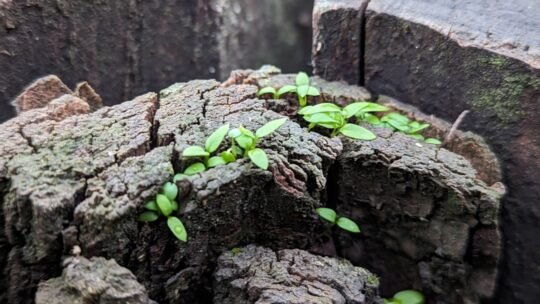 Photo Resilient mindset