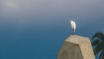 Photo Resilient mindset