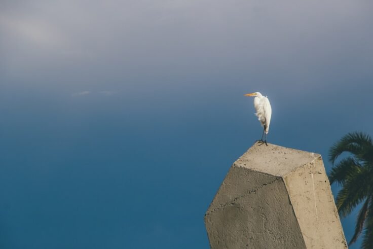 Photo Resilient mindset
